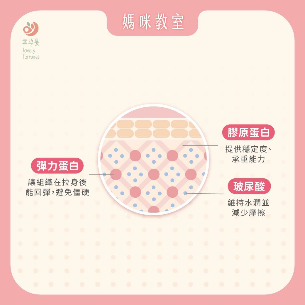 幸孕果媽咪教室 孕哺媽咪必讀：膠原蛋白、彈力蛋白與玻尿酸如何協同維持健康與美麗？