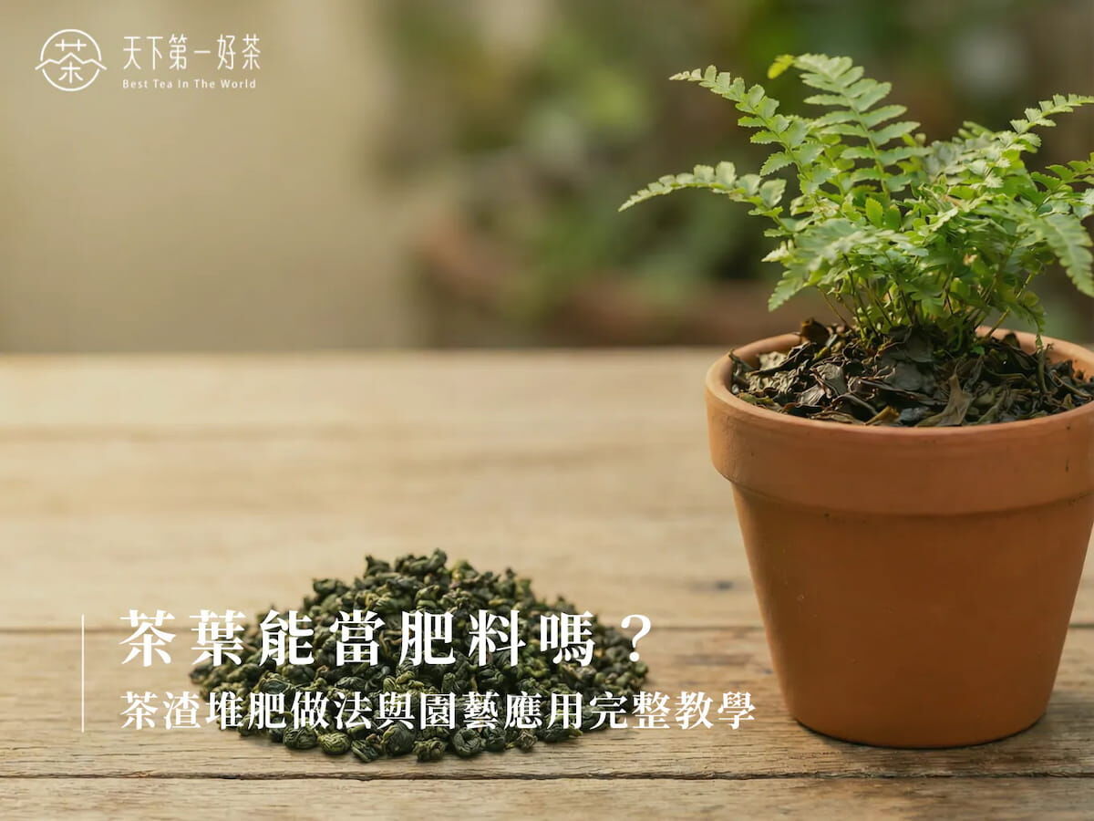茶葉能當肥料嗎？