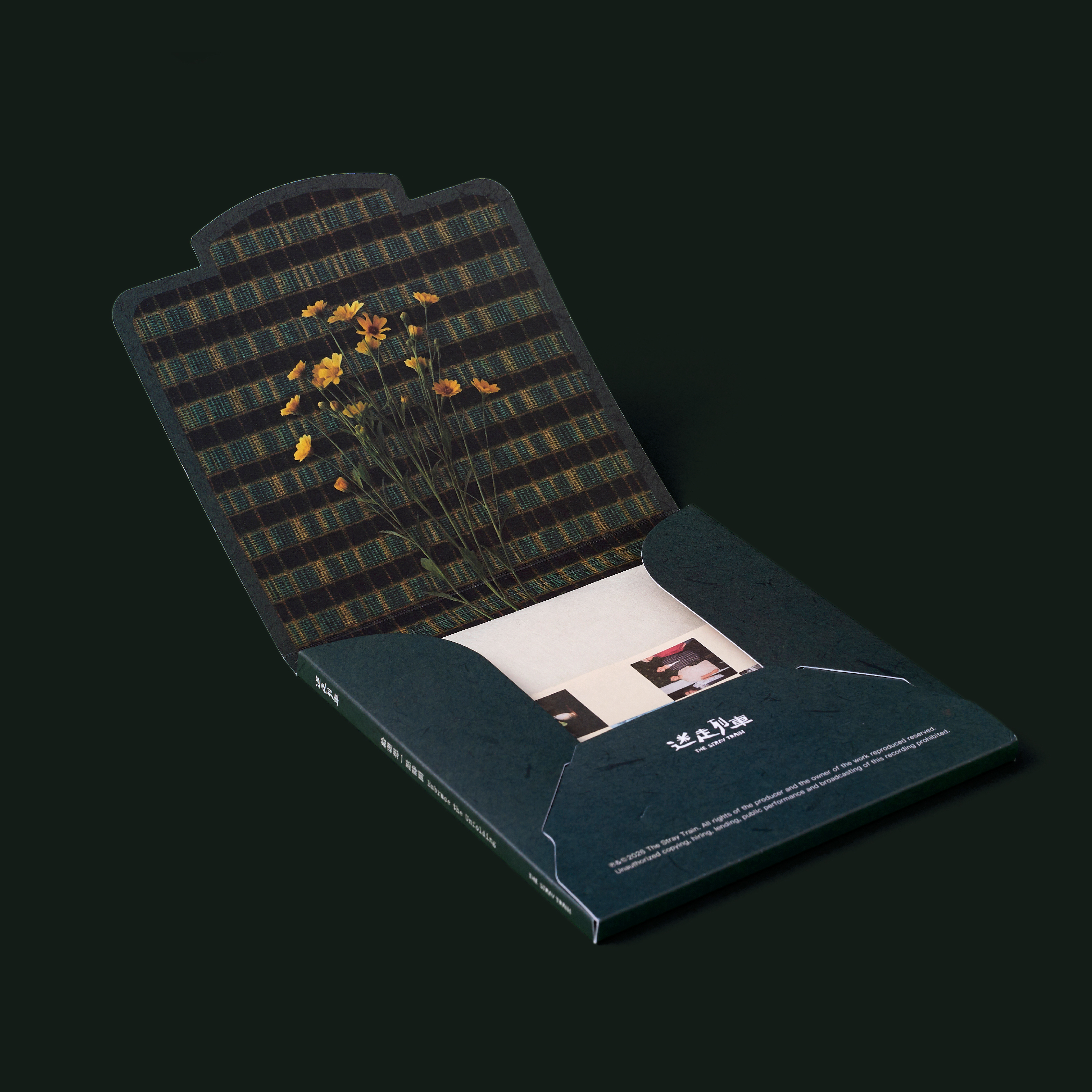 【The Stray Train】《Embrace The Unfolding》EP