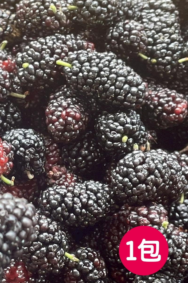 預購【04月16日(四)到貨】新北市農會💮桑椹冷凍鮮果【600g±5%*1包】
