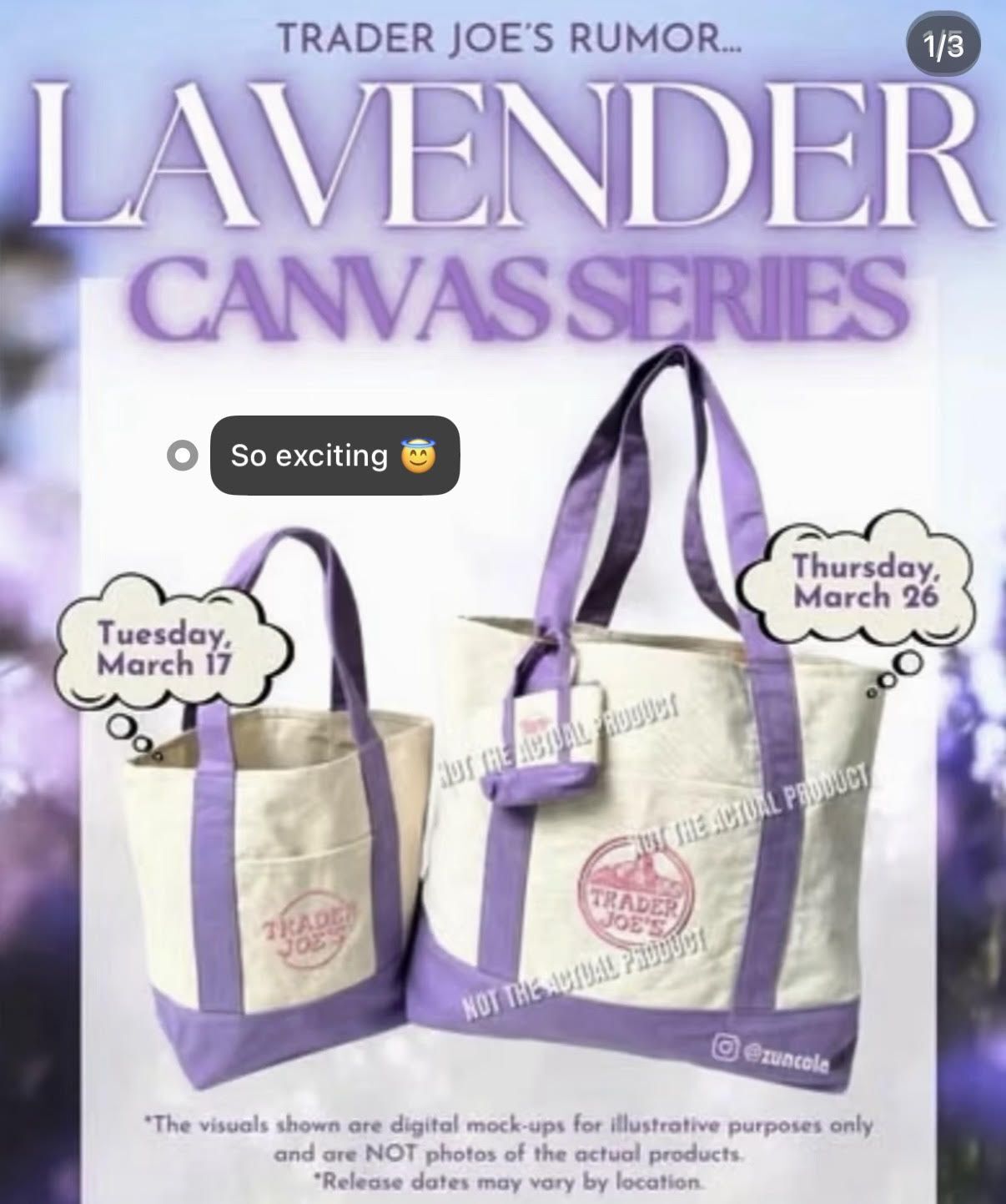 【現貨】Trader Joe's 購物袋 厚磅 帆布袋 環保購物袋 托特包 限定新色 薰衣草