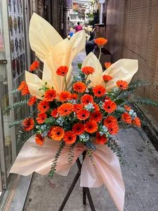 W -恭賀花籃/韓式花籃--OPE_Ko52