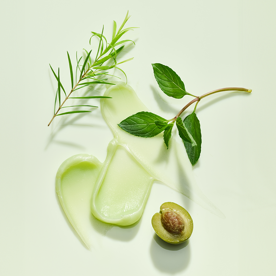 TOCOBO x 蓁蓁 唇SPA入門組