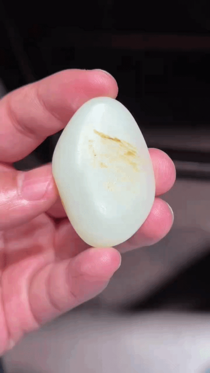 325736 和田玉原籽