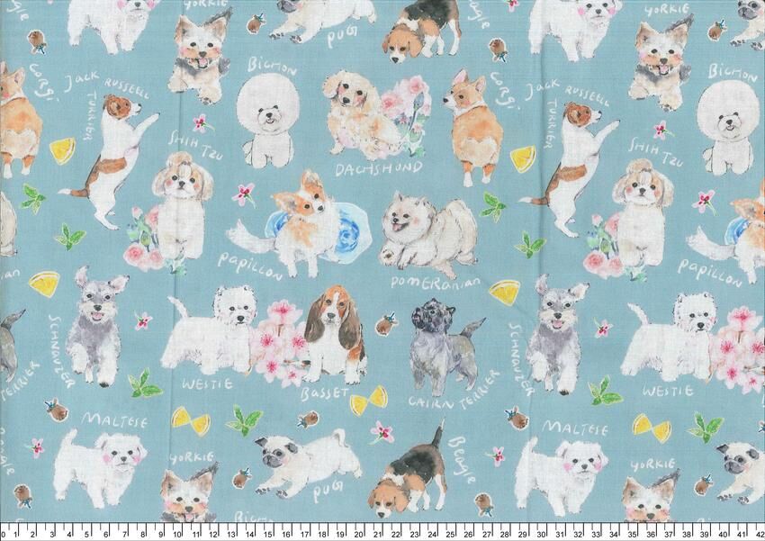 棉布260408-005（一尺）