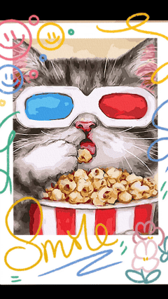 【DT229】 吃爆米花的貓