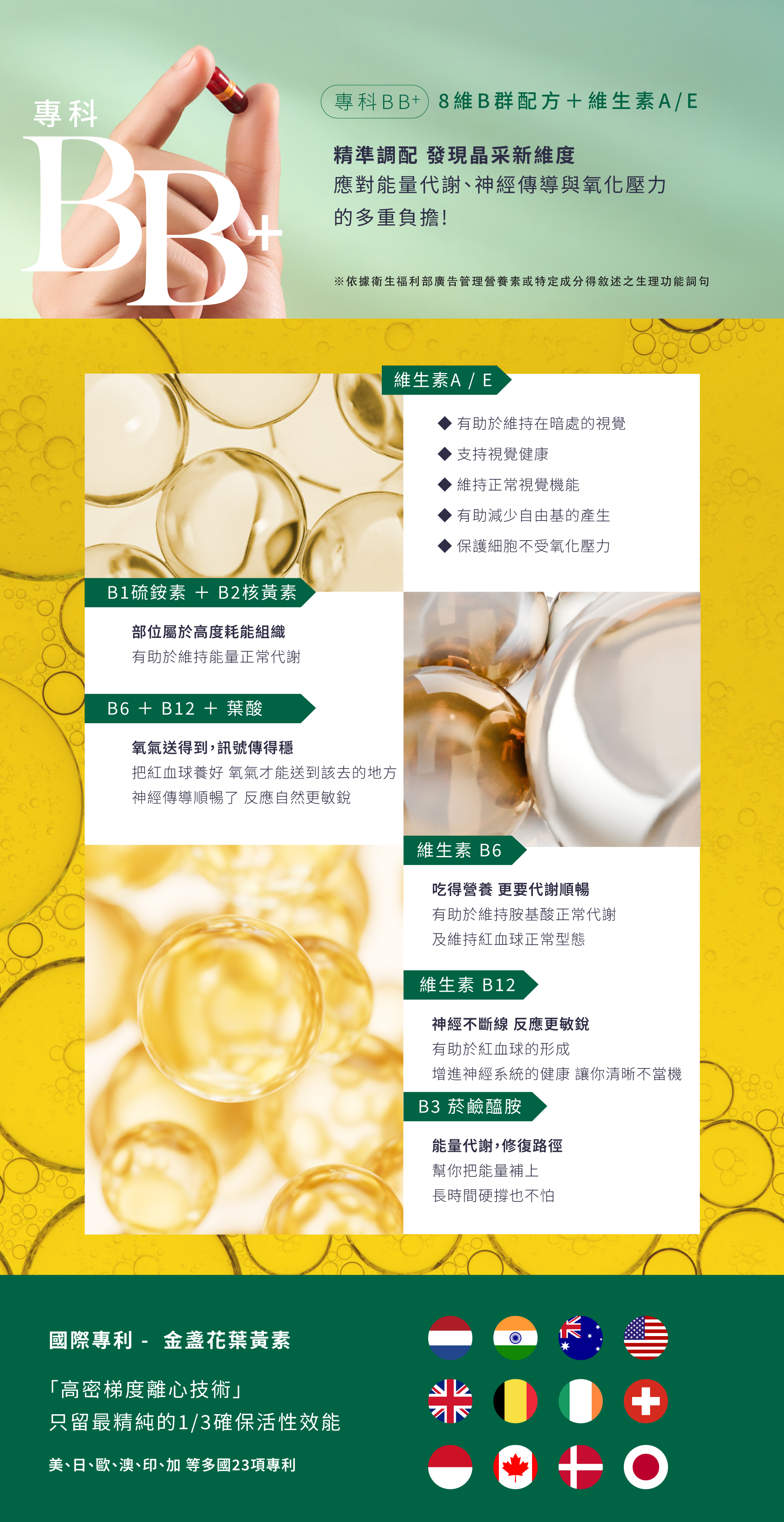 專科BB+精準配方應對能量代謝與氧化壓力。維生素A與E維持暗處感受並減少自由基；B群確保訊號傳遞穩定；菸鹼醯胺B3則是硬撐族必備的修復路徑。結合23項專利金盞花葉黃素，從科學角度定義真正的亮采健康。