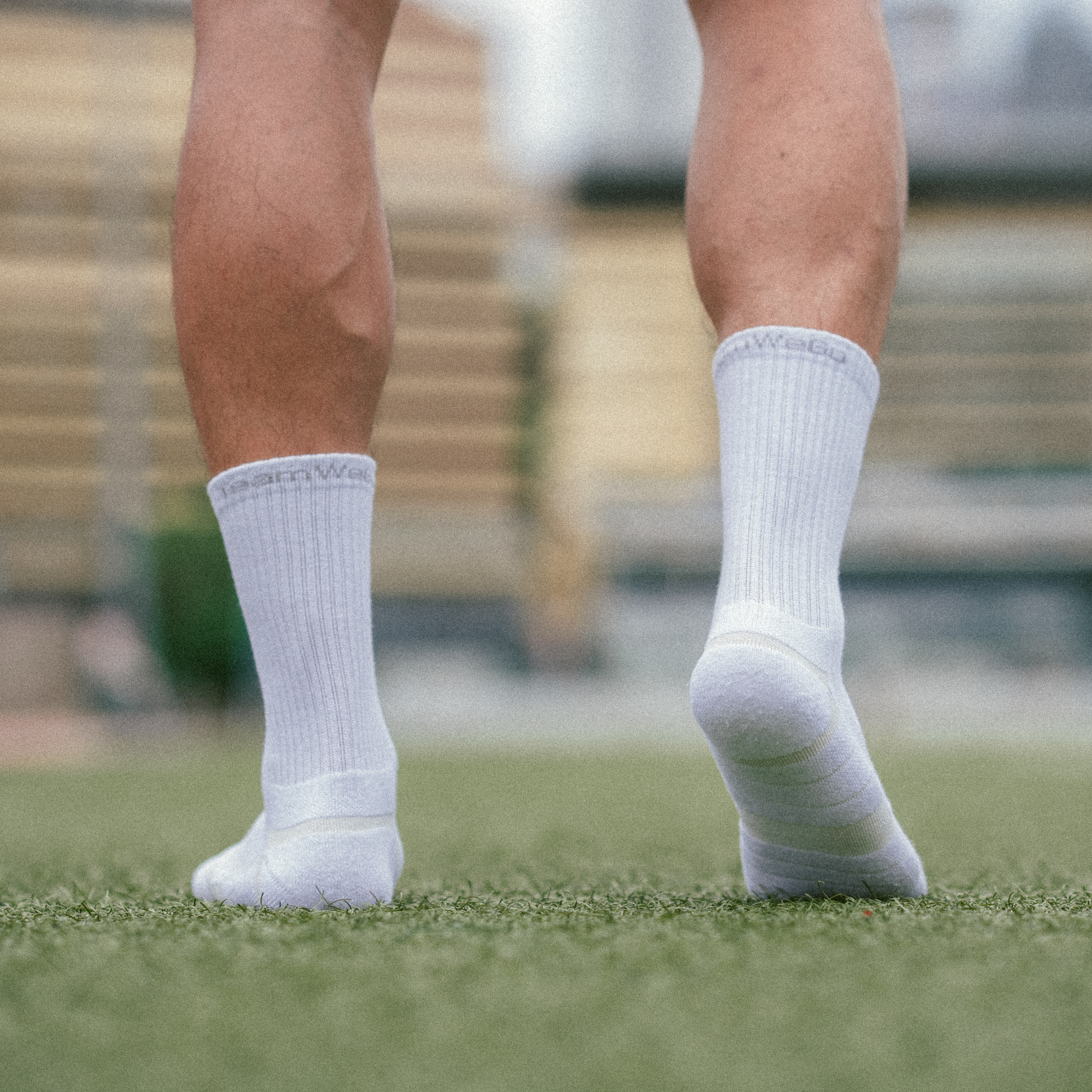 TeamWeGo Gear Daily Crew Socks (3對)