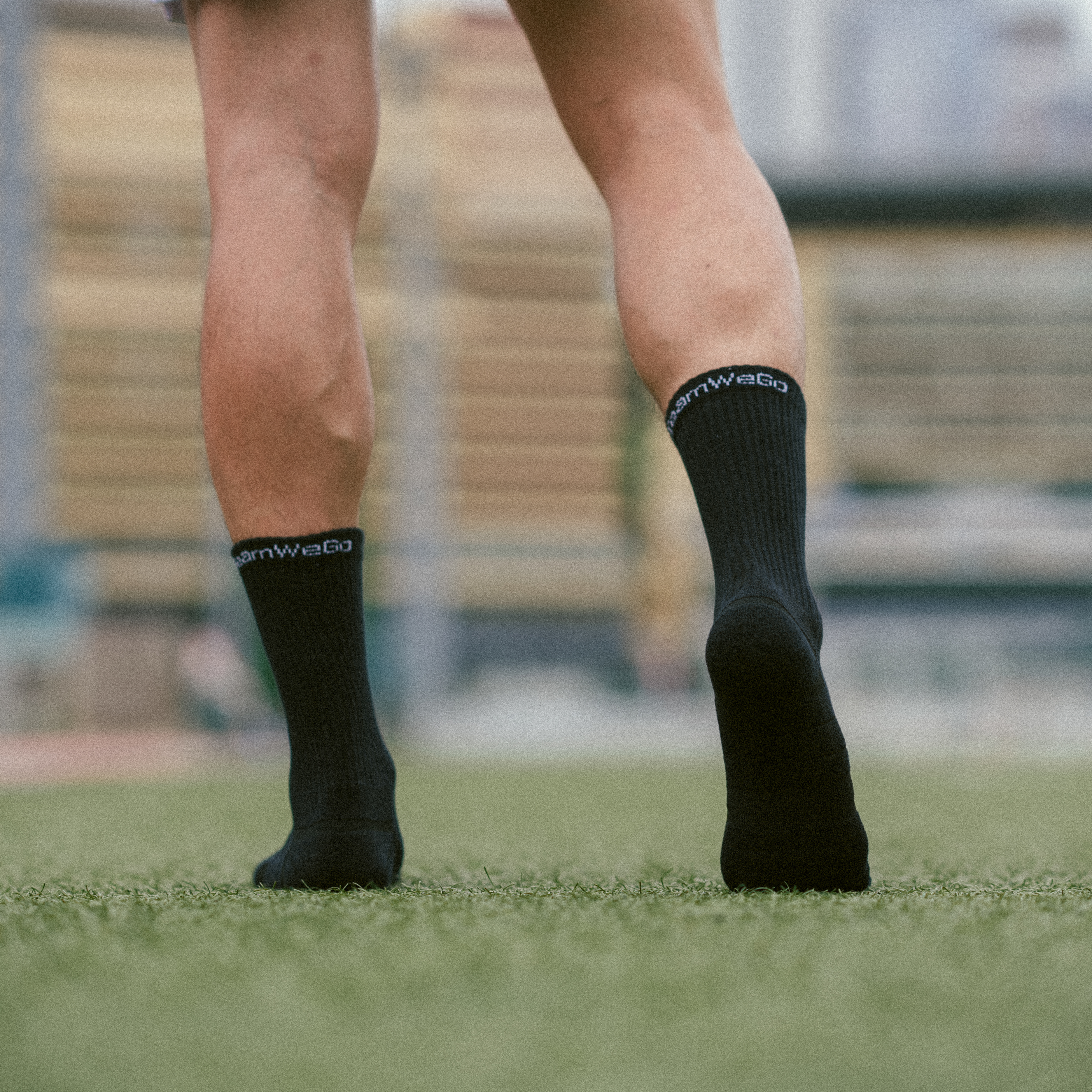 TeamWeGo Gear Daily Crew Socks (3對)