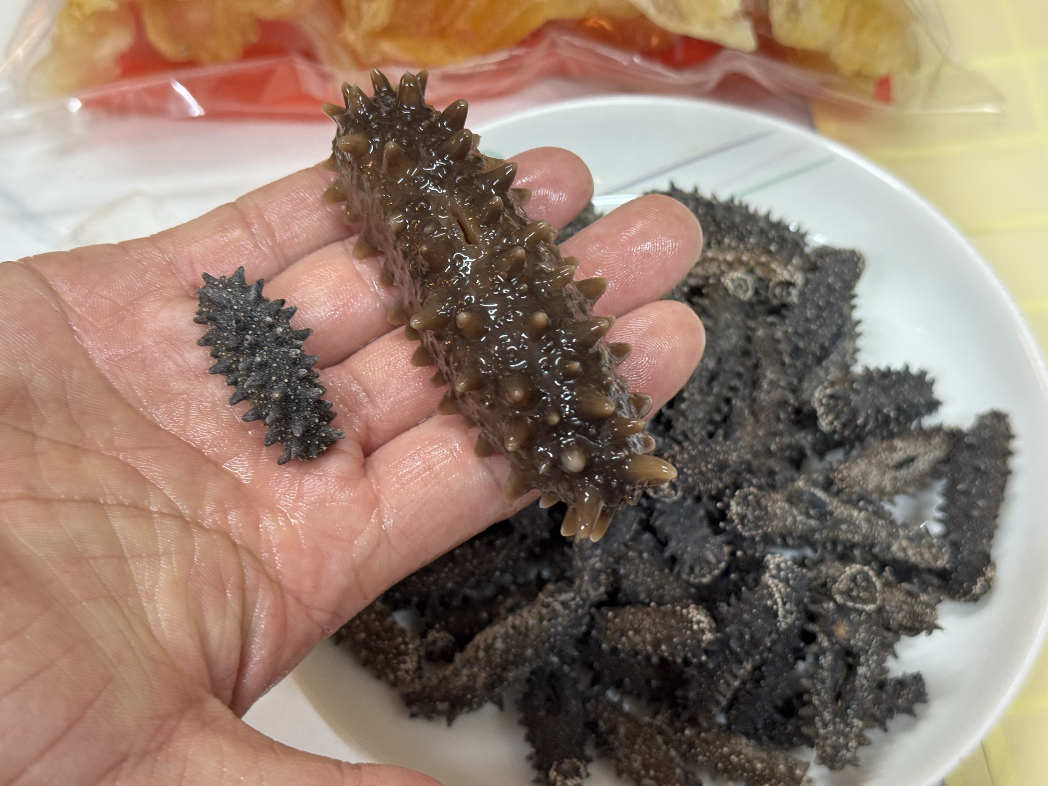 （7035）北海道遼參50-60支 200g