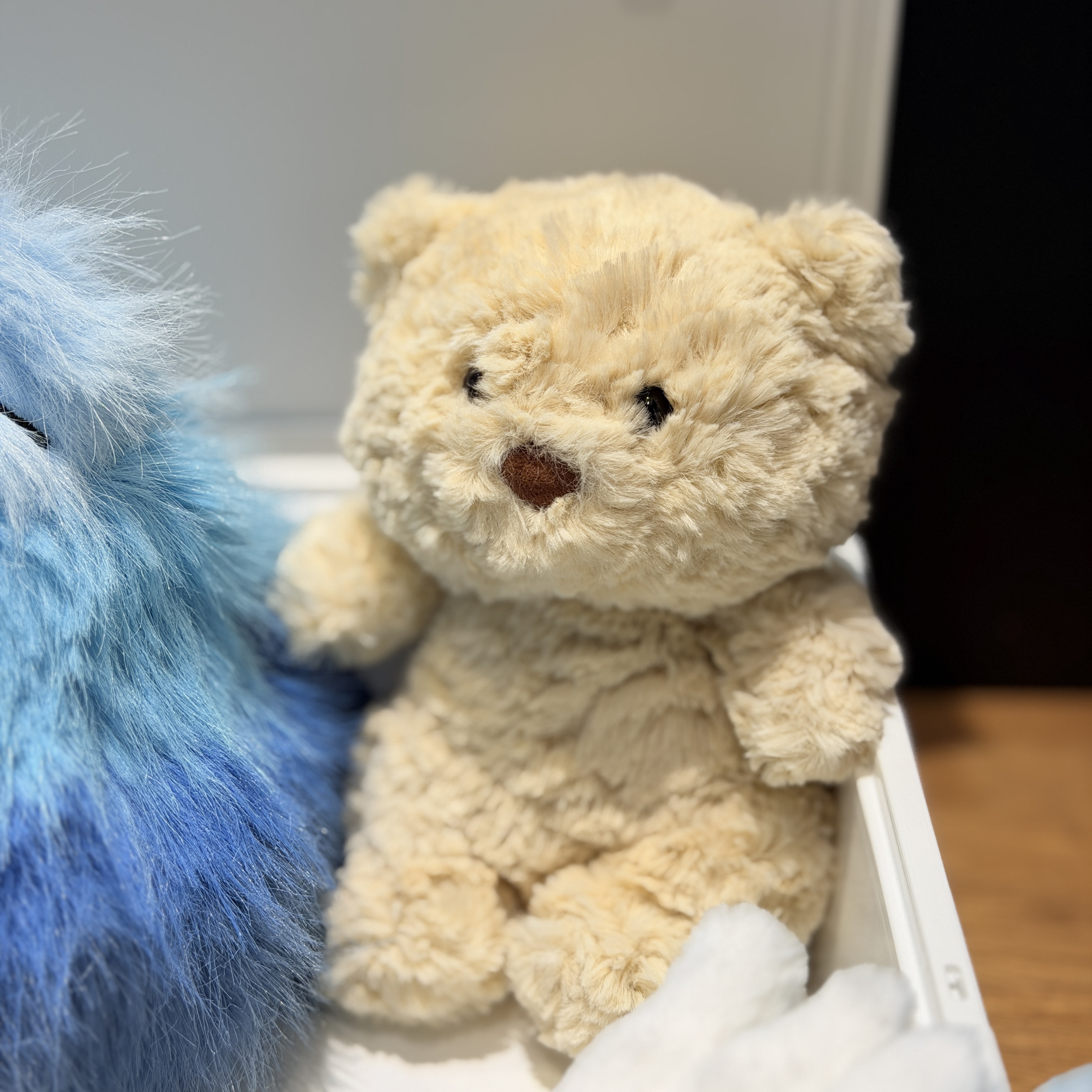 【現貨】jellycat 巴塞洛繆熊二世 娃娃 (小隻）