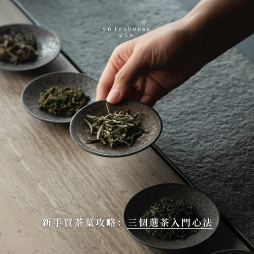 新手買茶葉攻略|給入門者的三個心法與避雷建議|瑜茶舍