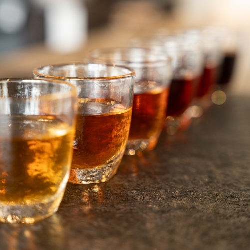 「六大茶類」:從發酵度找到風味地圖|瑜茶舍