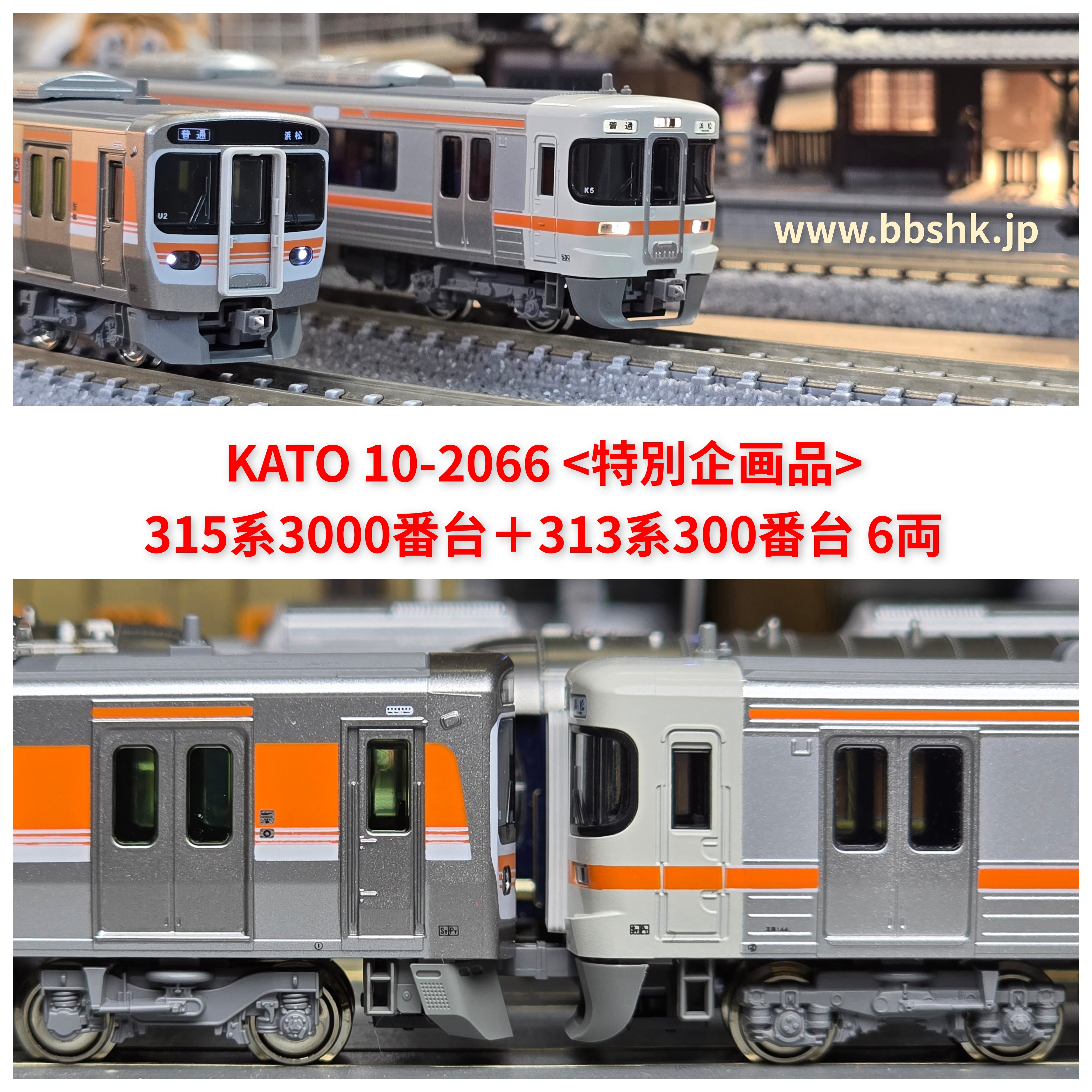 KATO 10-2066 <特別企画品> 315系3000番台＋313系300番台6両