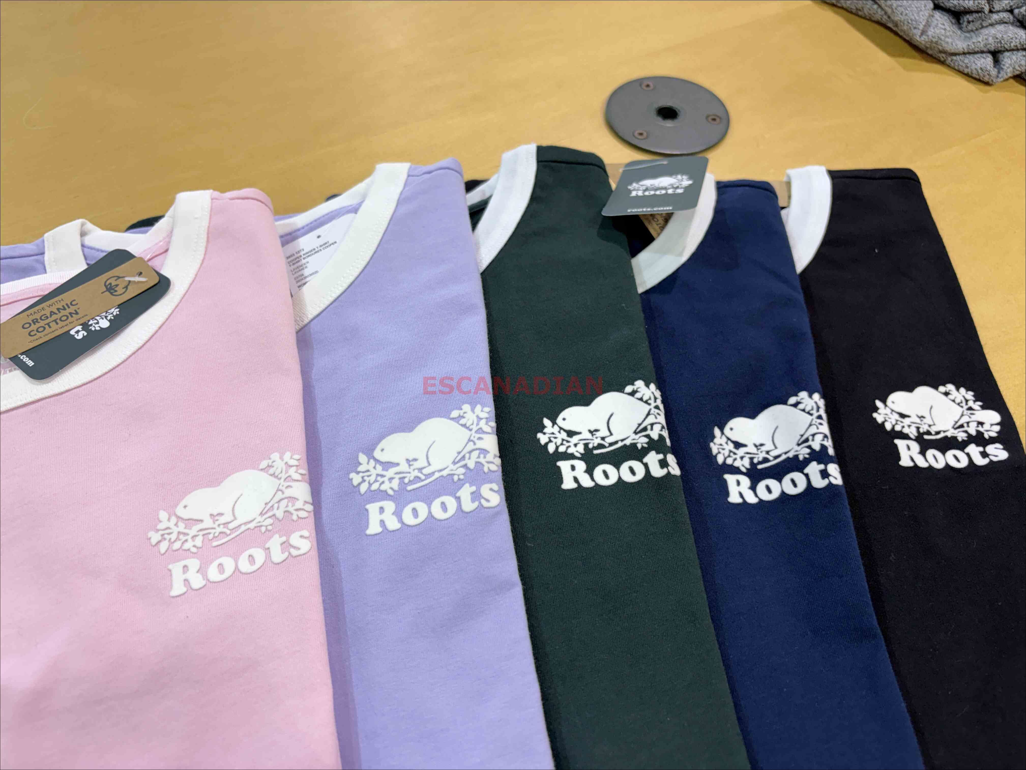 ROOTS 女大人 有機棉 Ringer 小海狸 短TEE (5色)