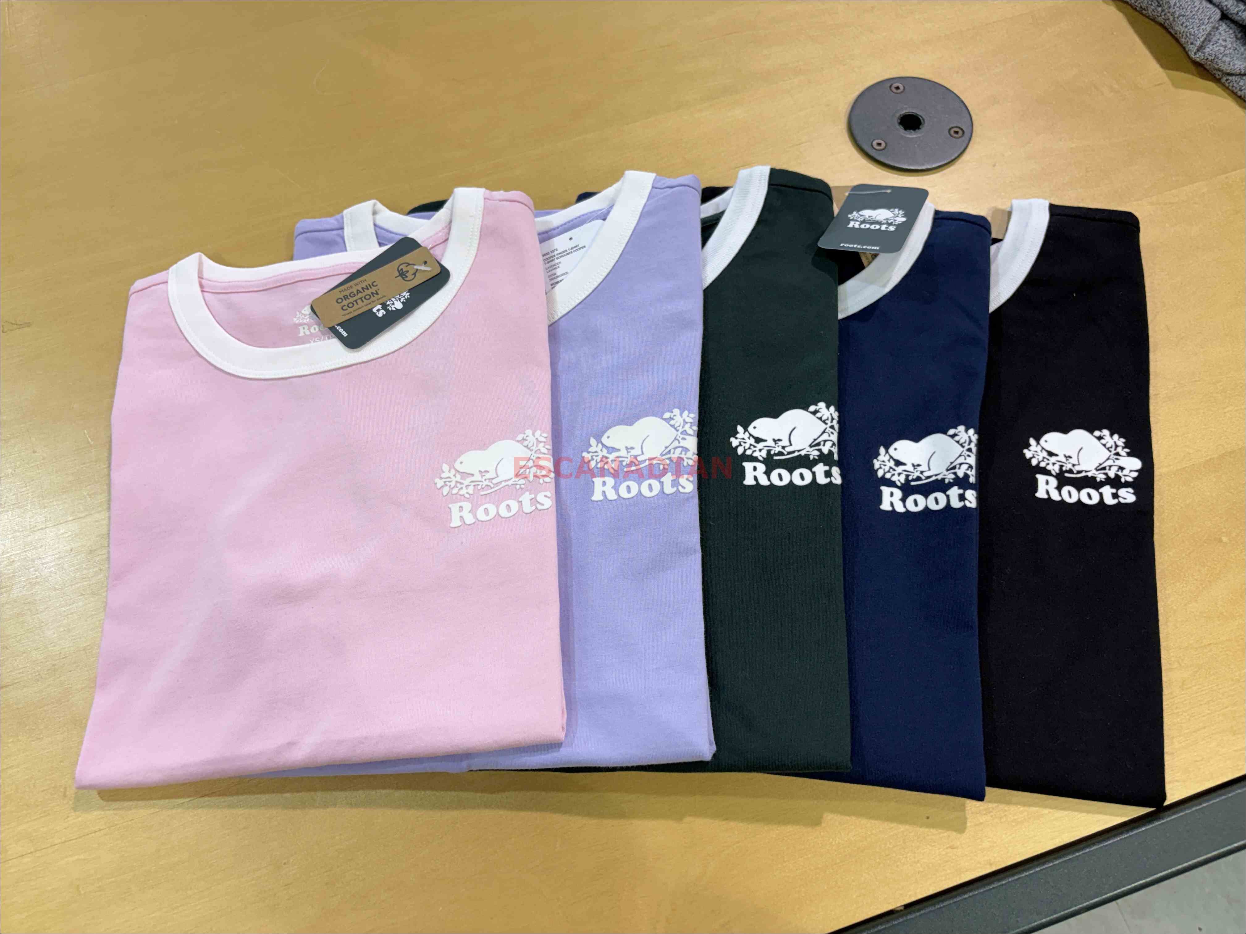 ROOTS 女大人 有機棉 Ringer 小海狸 短TEE (5色)