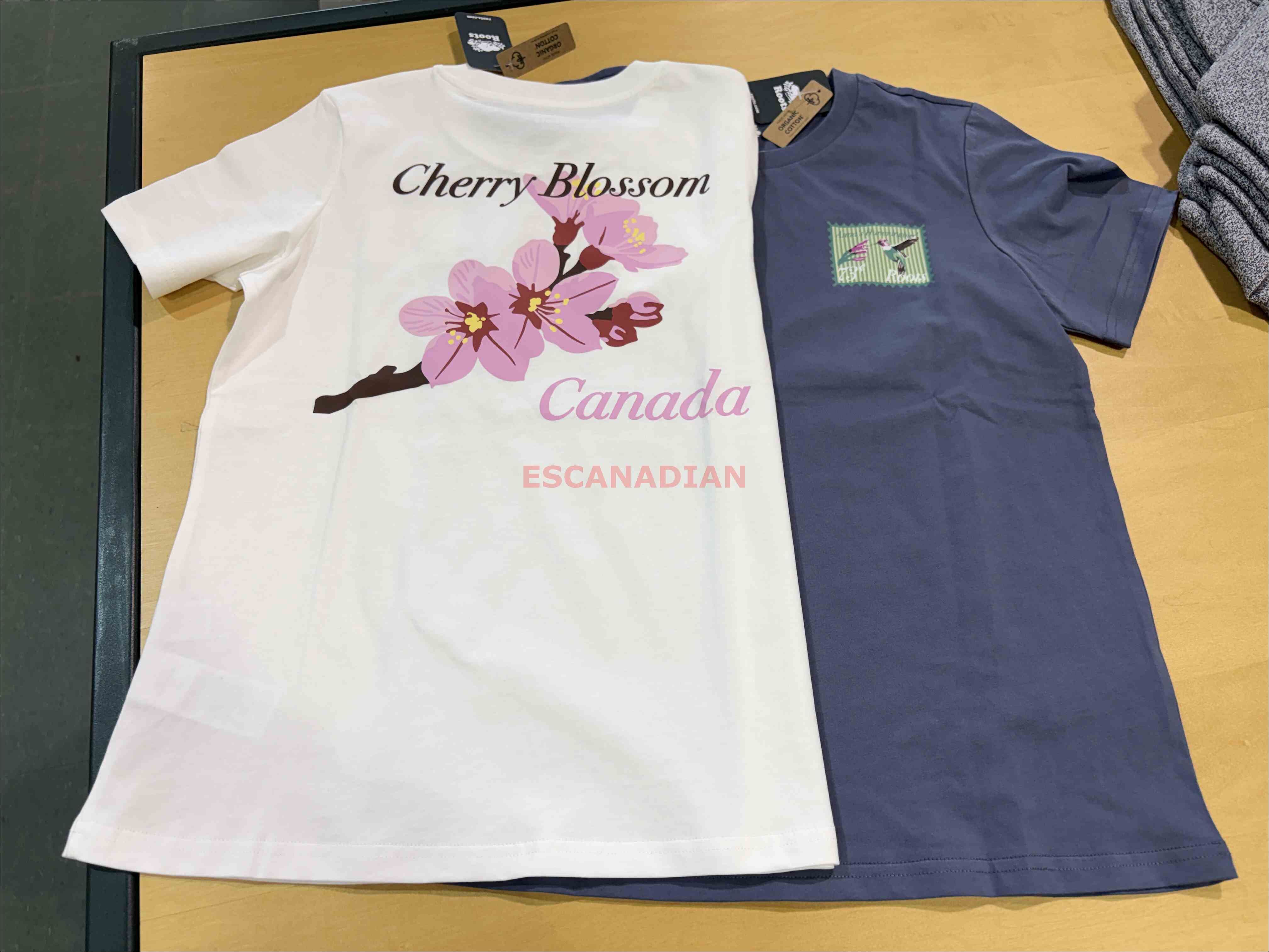 ROOTS 女大人 花卉系列 春季圖案 短TEE (2色)