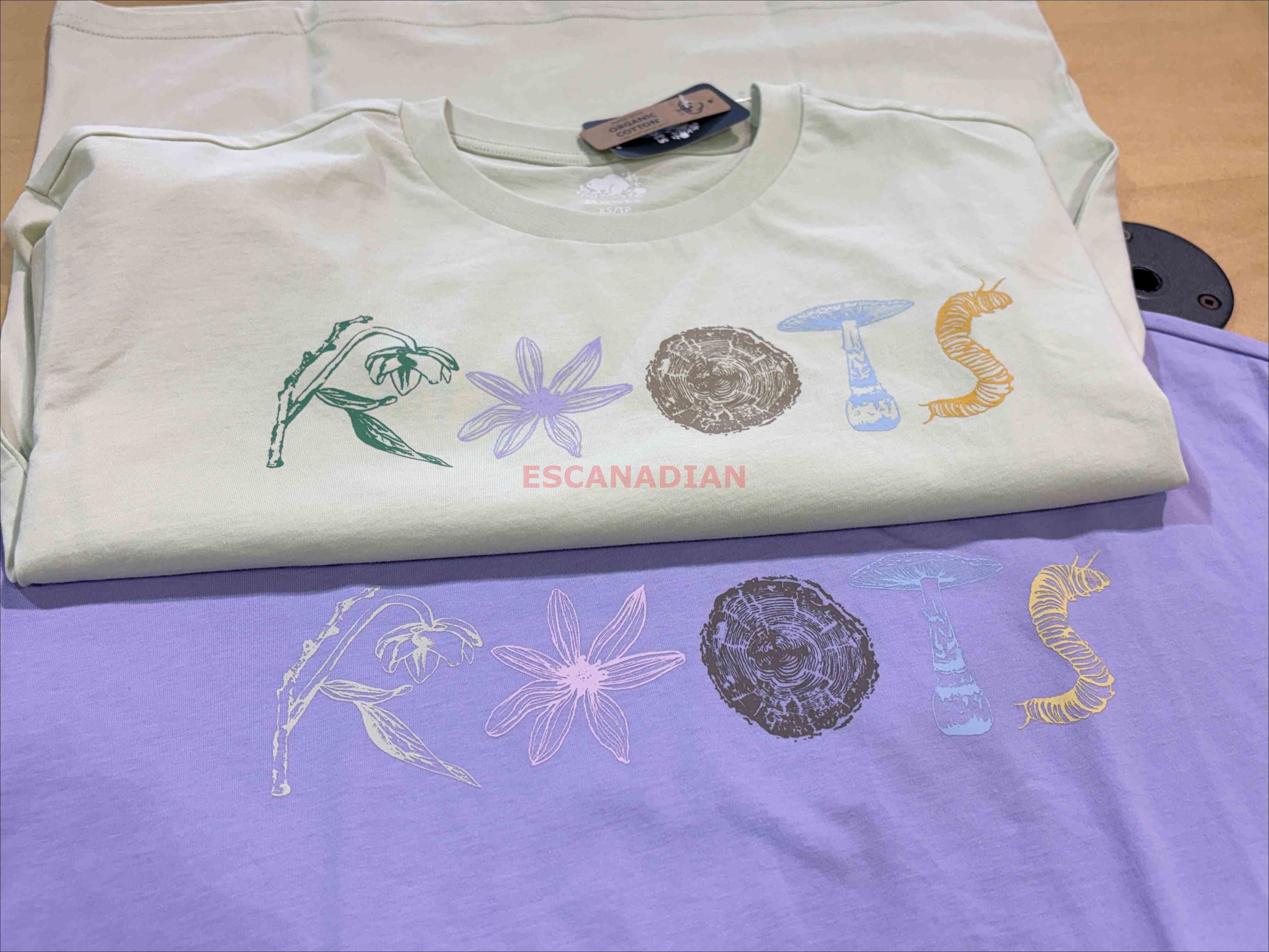 ROOTS 女大人 大自然系列 圖案 寬版(Relaxed) 短TEE (2色)