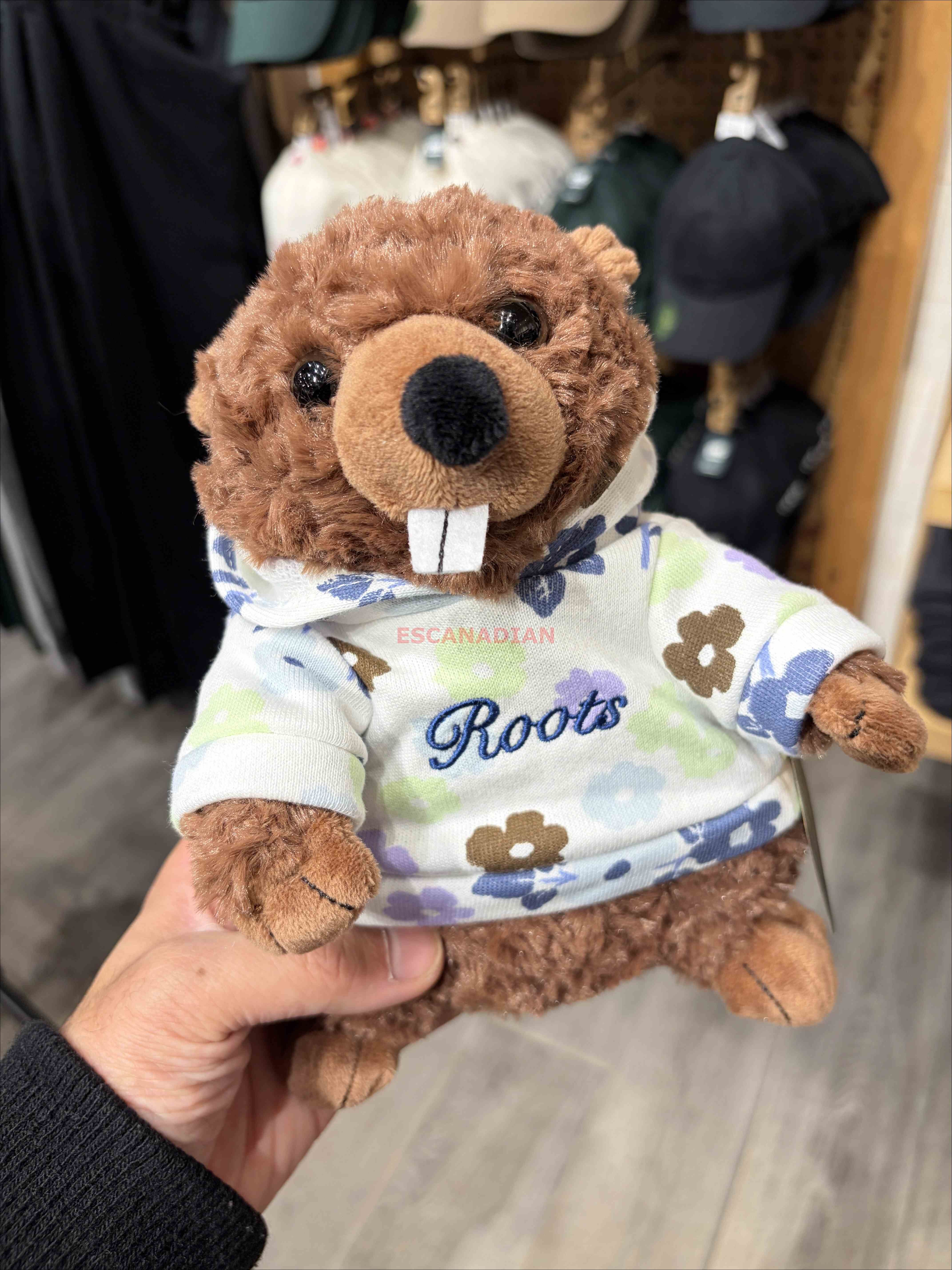 ROOTS 花卉系列 滿版 海狸寶寶