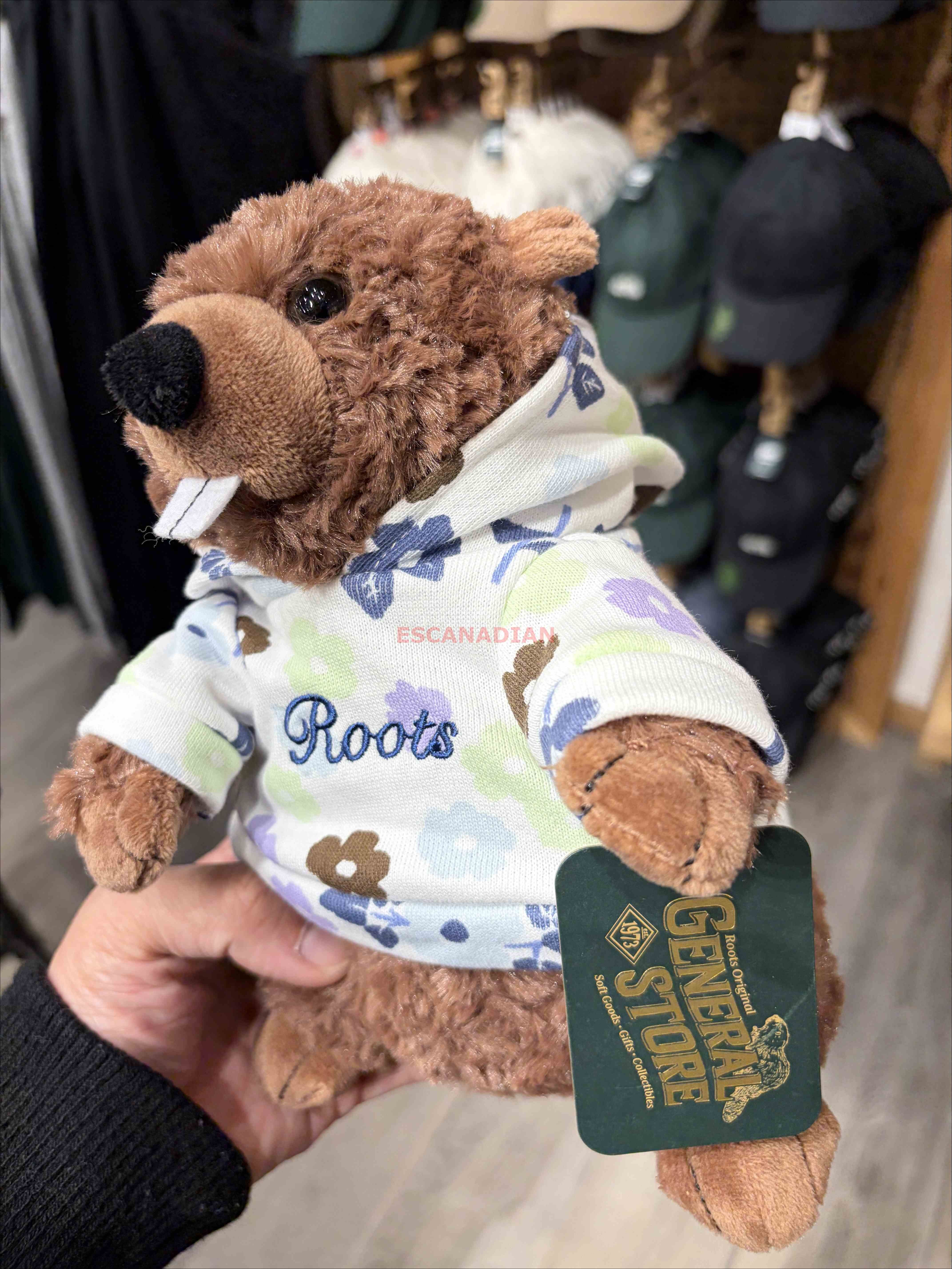 ROOTS 花卉系列 滿版 海狸寶寶