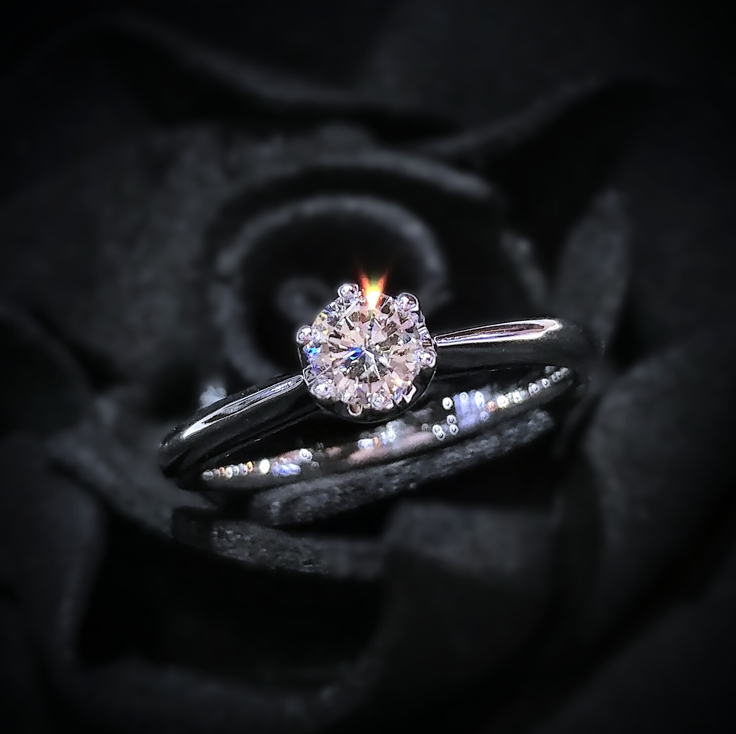 全新18K白金【單粒25份鑽石】配小鑽 共27份6爪戒指