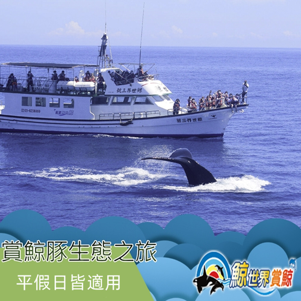 【花蓮】鯨世界 賞鯨豚生態之旅 乘船券 Ⓗ