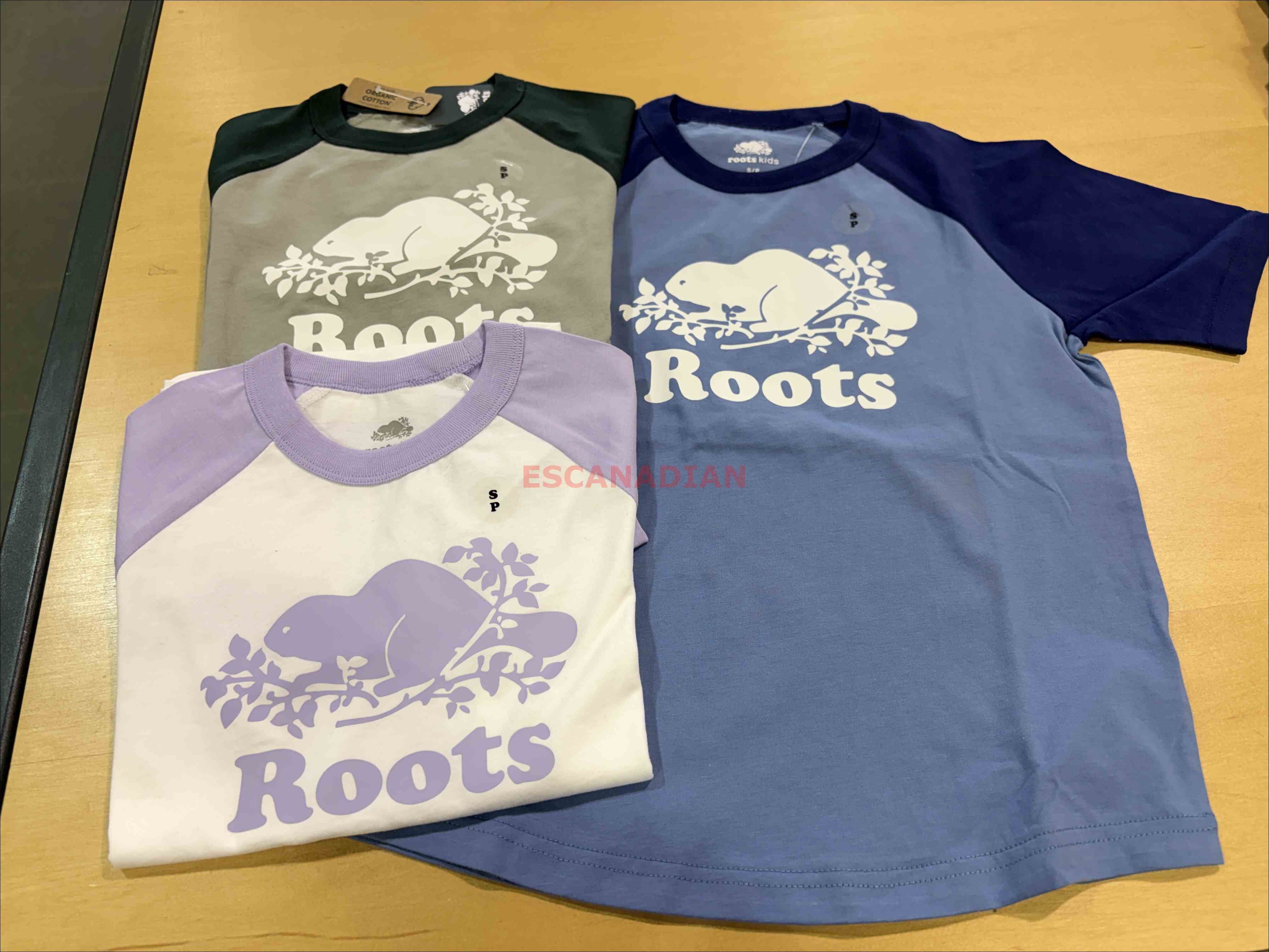 ROOTS 大童 經典海狸 拼接棒球袖 短TEE (3色)