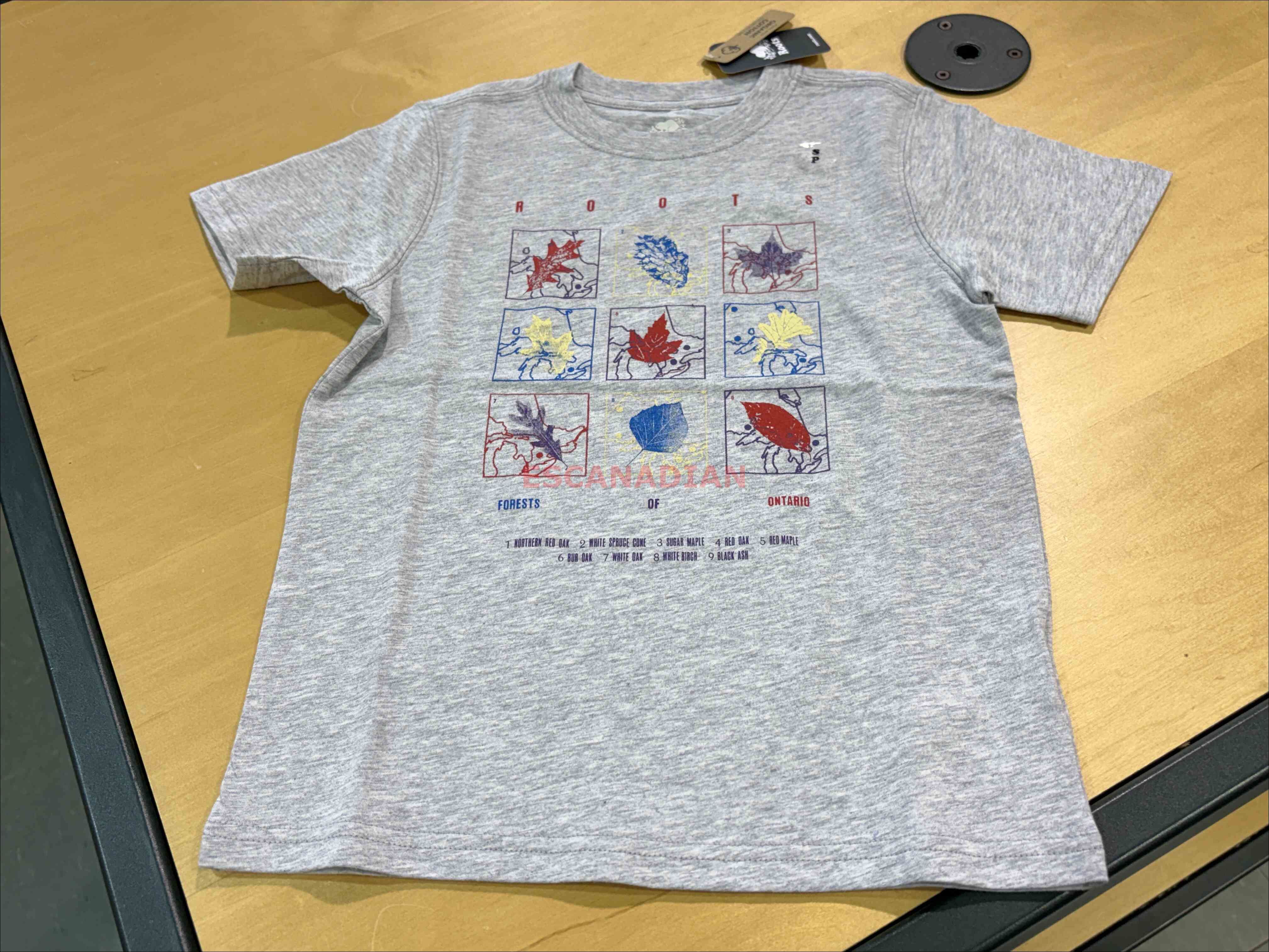 ROOTS 大童 楓葉圖案 短TEE