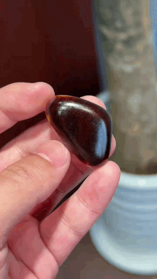 325739 和田玉原籽