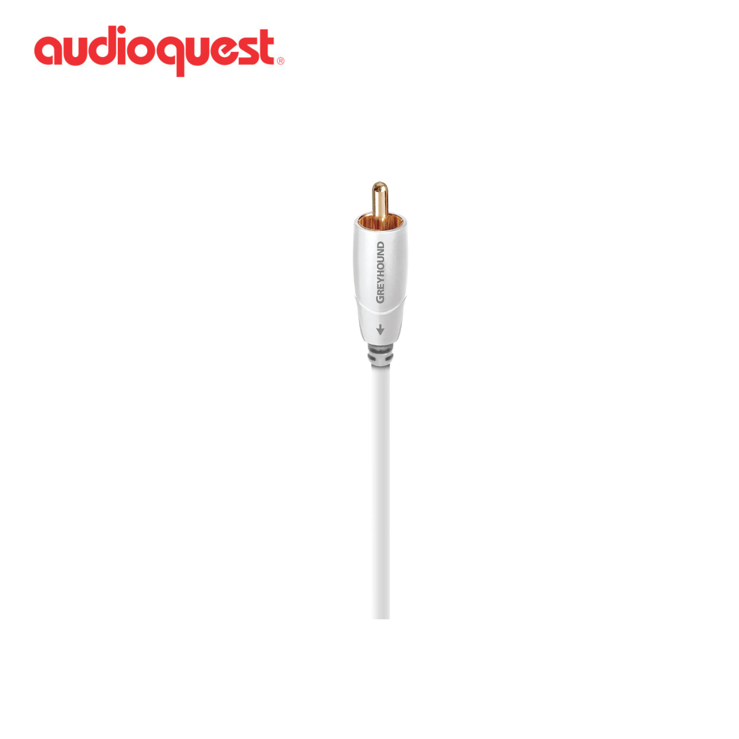 AudioQuest 灰狗 Greyhound 超低音線 (RCA)