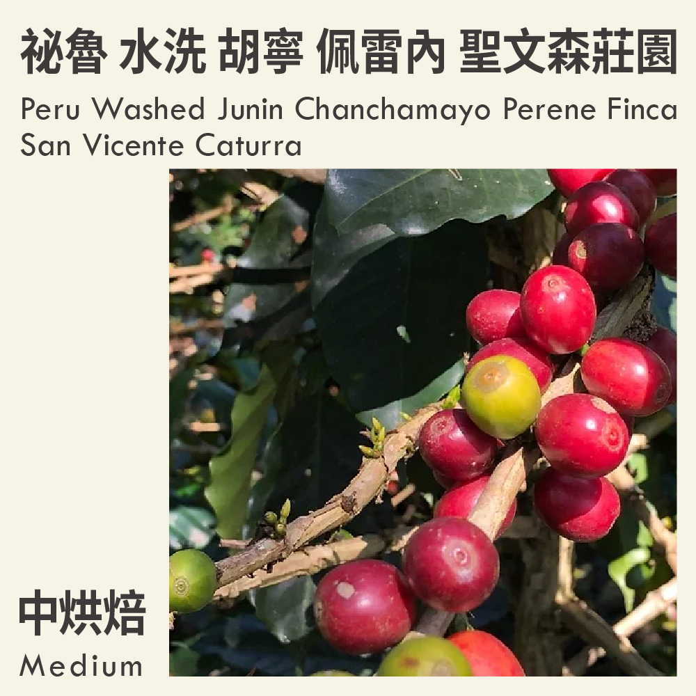 祕魯 水洗 胡寧 佩雷內 聖文森莊園 卡杜拉