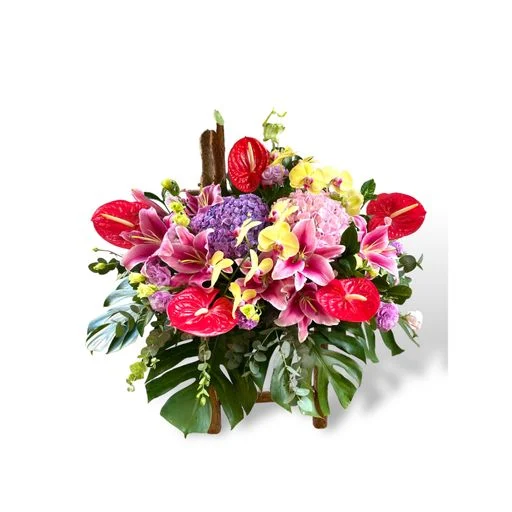 W - 恭賀花籃/中西花籃-恭賀OPE_28019