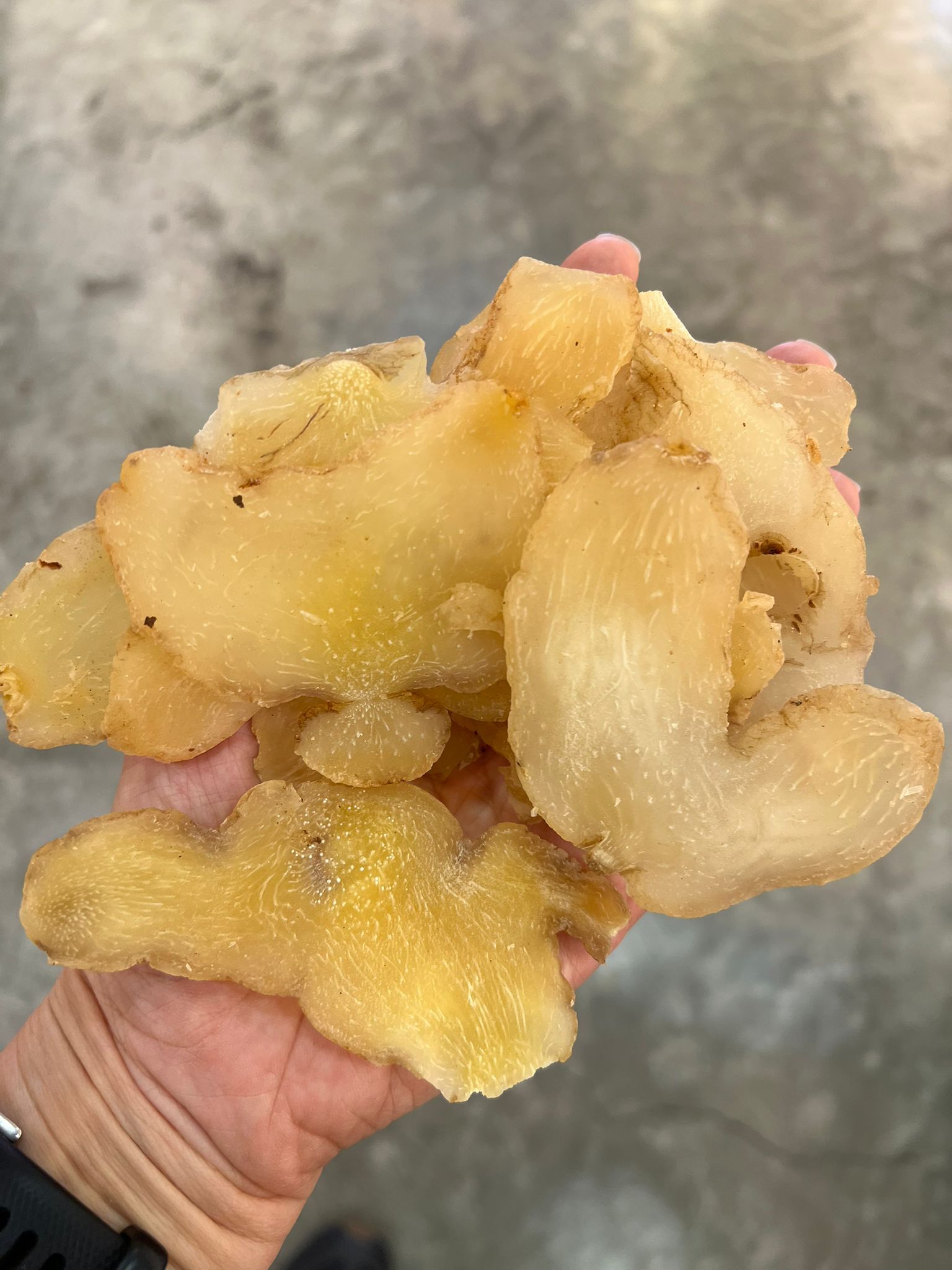 海玉竹片(200克)