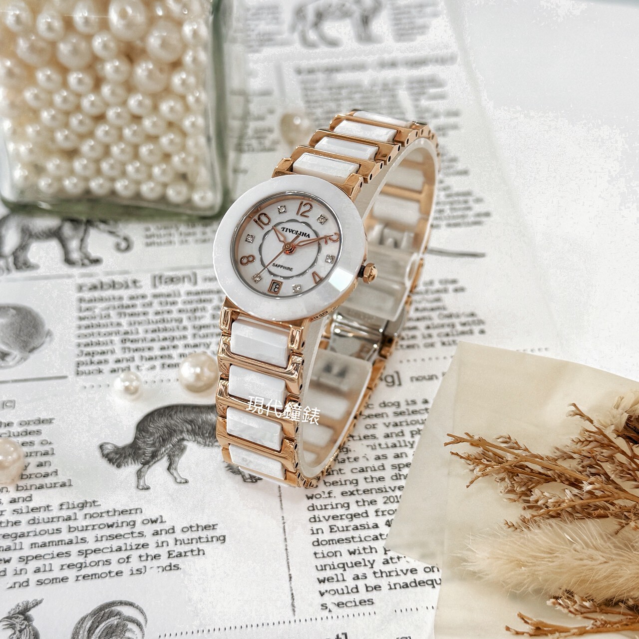 【TIVOLINA 小紅帽】輕奢點鑽陶瓷腕錶 LAT3671-G 26mm 現代鐘錶