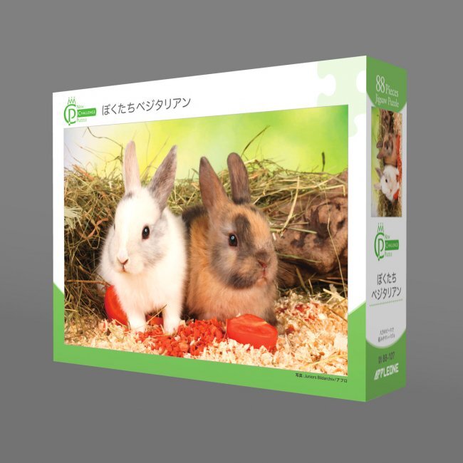 我們是素食者 (大件尺寸)