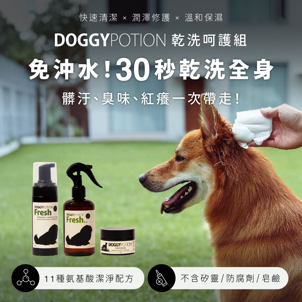 犬用天然乾洗慕斯｜DOGGYPOTION