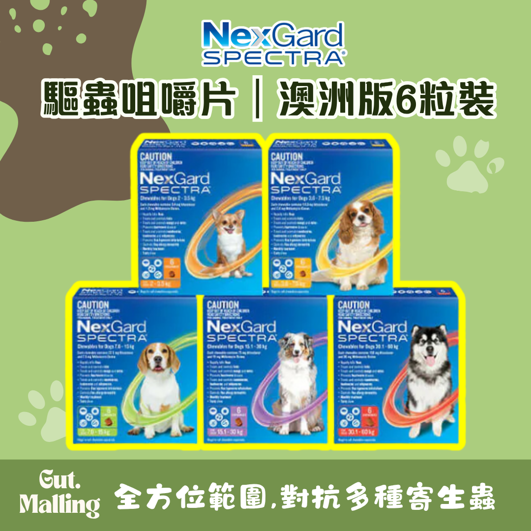 澳洲 NexGard SPECTRA 驅蟲咀嚼片｜澳洲版6粒裝