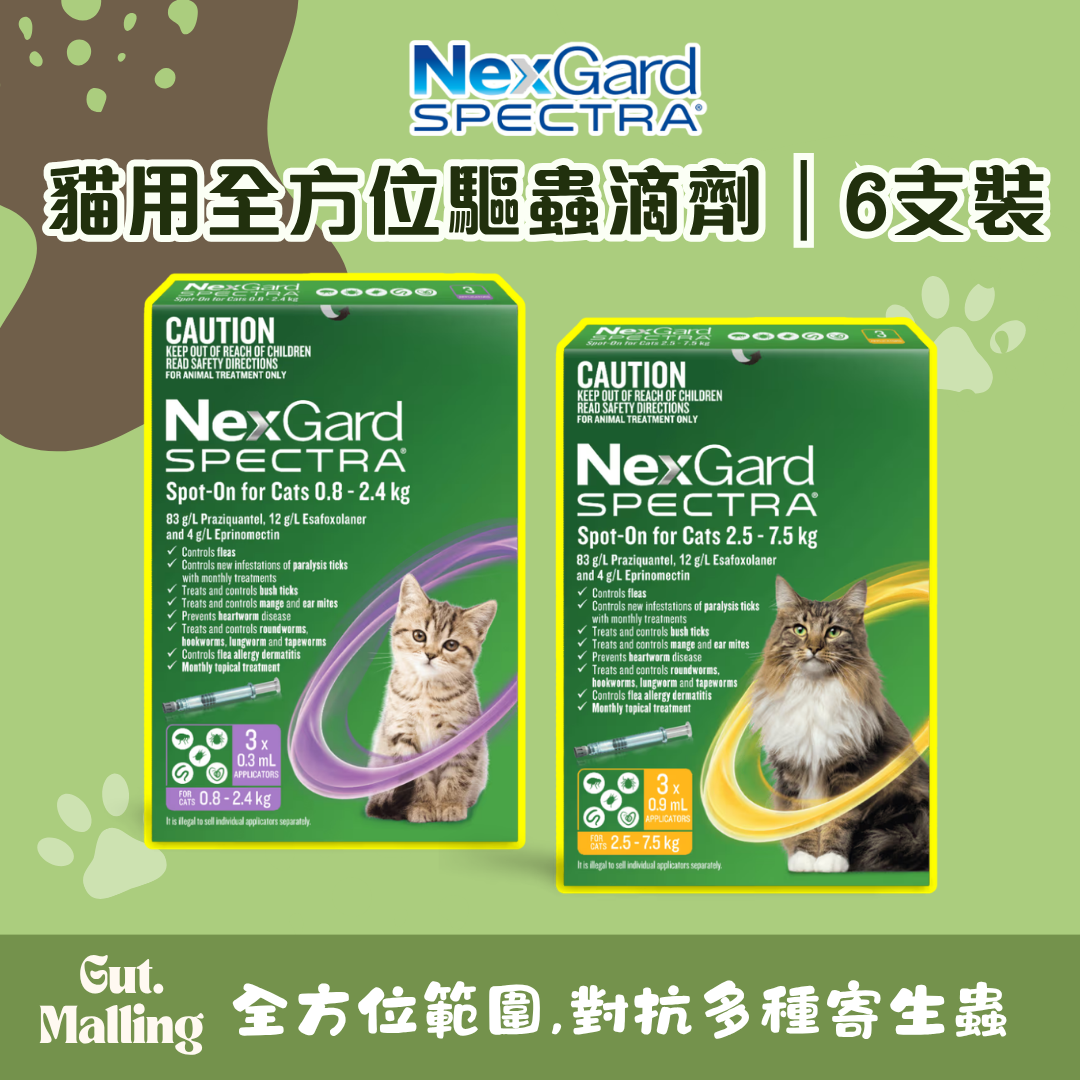 澳洲 NexGard SPECTRA 貓用全方位驅蟲滴劑｜6支裝
