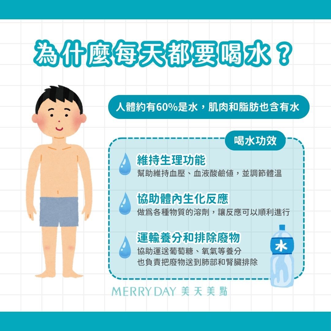 為什麼每天都要喝水?水對身體的重要性