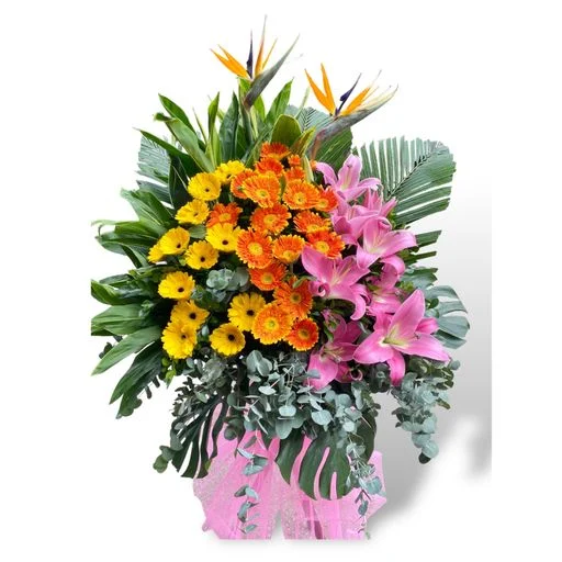 W - 恭賀花籃/恭賀OPE_70008-恭賀OPE_70008