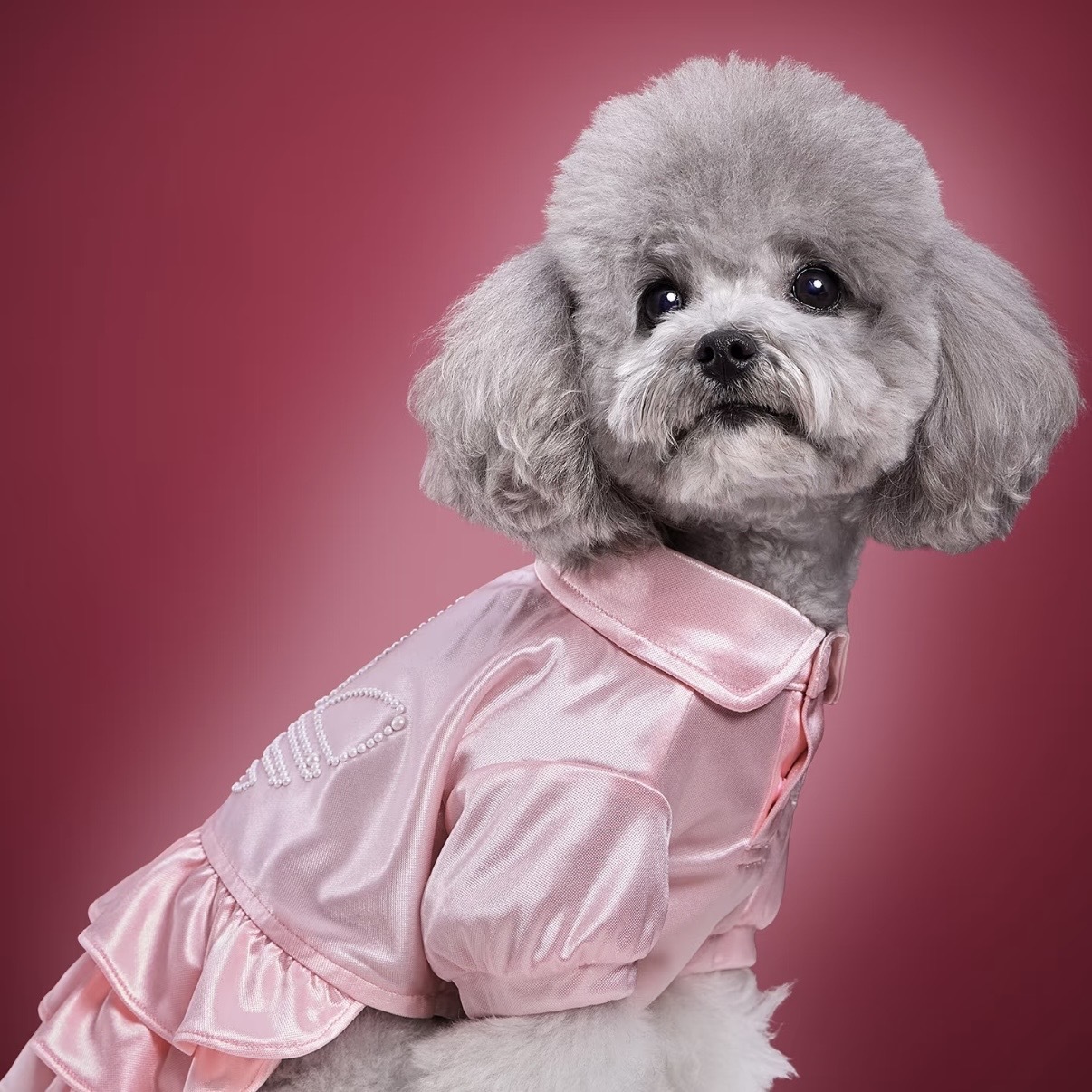 ADIDAS ORIGINALS 珠光粉 淡粉 粉紅色 公主風 珍珠LOGO 蛋糕裙擺 狗狗 貓貓 寵物衣服 / 預購