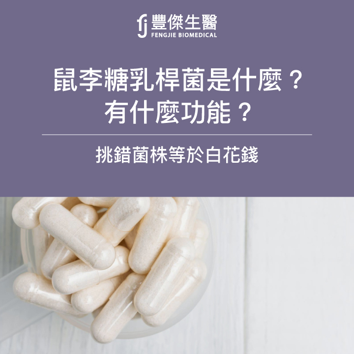 鼠李糖乳桿菌是什麼？有什麼功能？