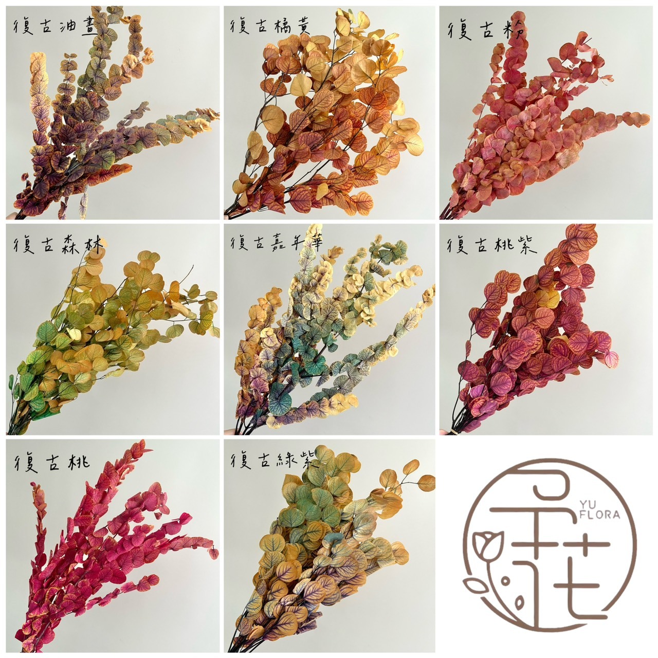 不凋尤加利葉-油畫系列