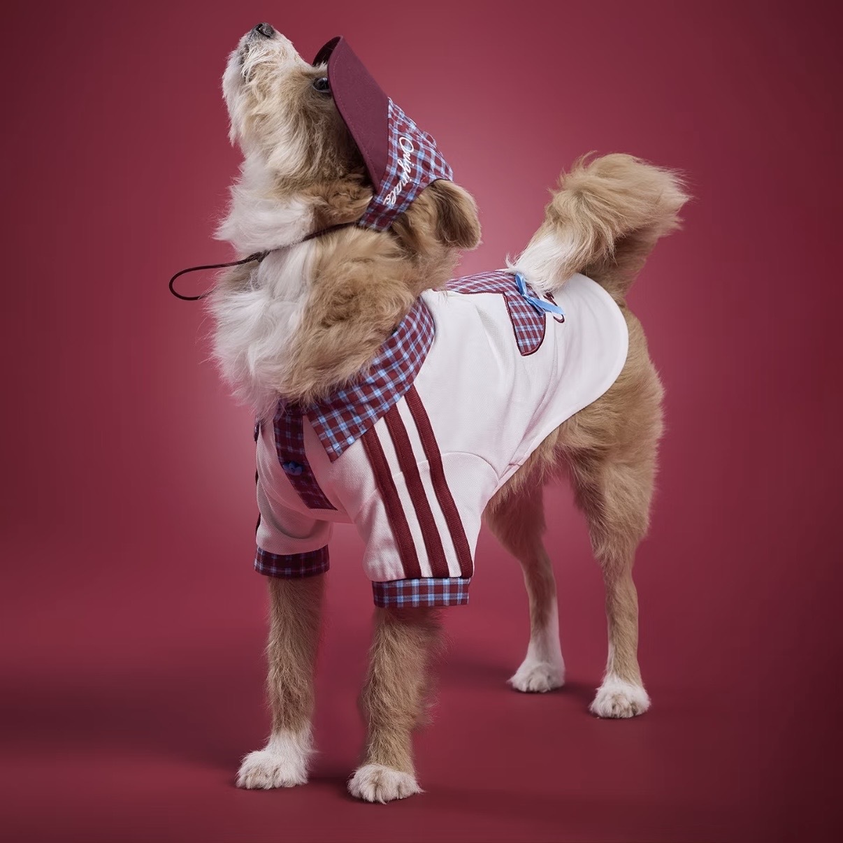 ADIDAS ORIGINALS 紅藍 白色格紋 拼接 POLO衫 翻領 狗狗 貓貓 寵物衣服 / 預購