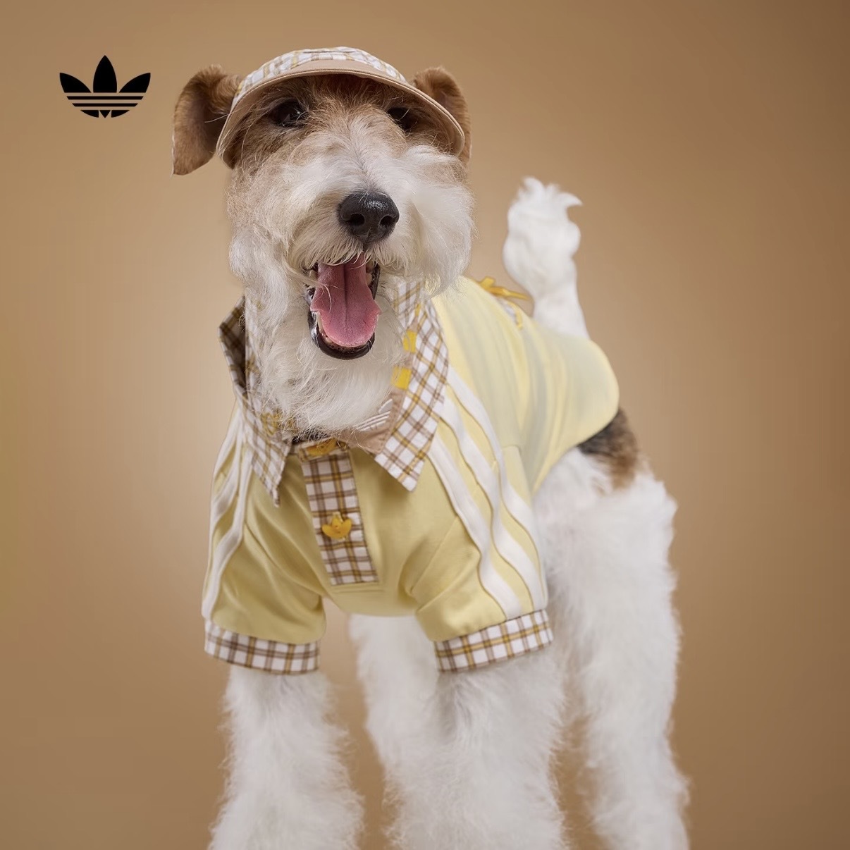 ADIDAS ORIGINALS 檸檬黃 格紋 拼接 POLO衫 翻領 狗狗 貓貓 寵物衣服 / 預購