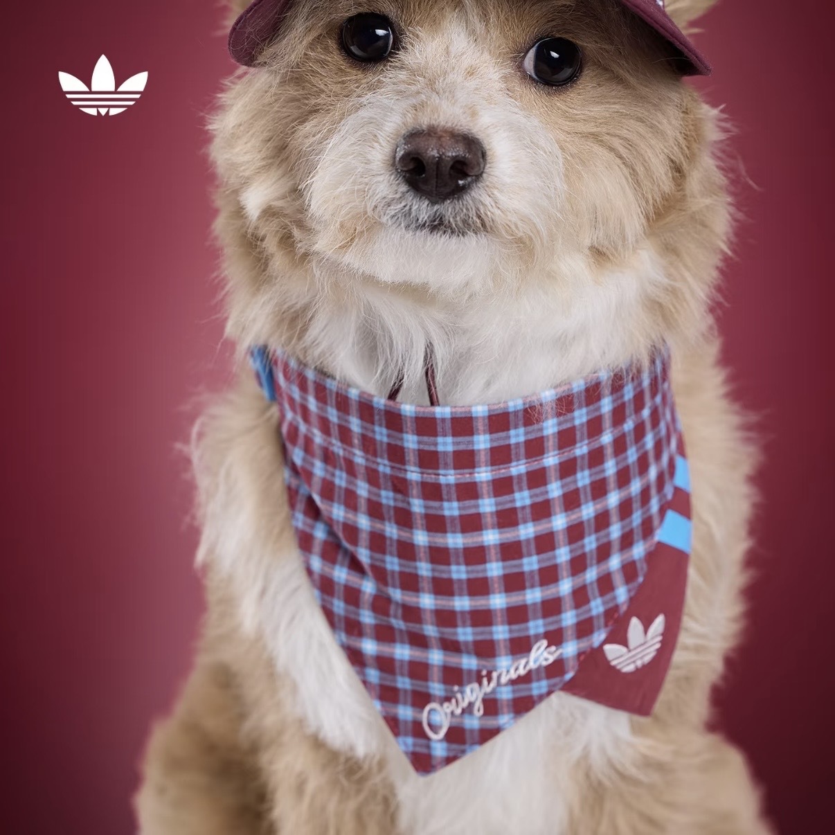 ADIDAS ORIGINALS 紅藍 酒紅 格紋 領巾 三角巾 狗狗 貓貓 寵物衣服 / 預購