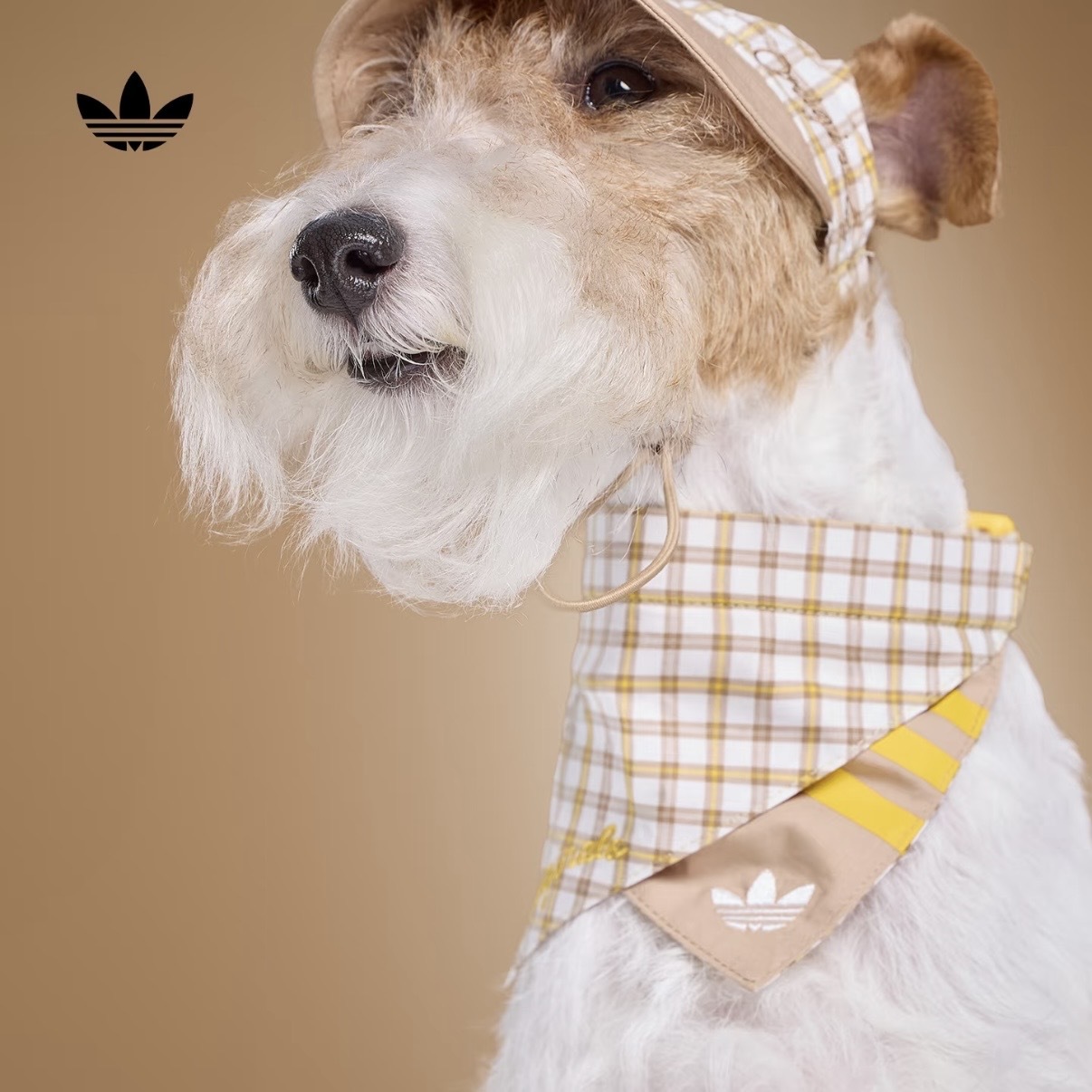 ADIDAS ORIGINALS 黃色 奶茶色 格紋 領巾 三角巾 狗狗 貓貓 寵物衣服 / 預購