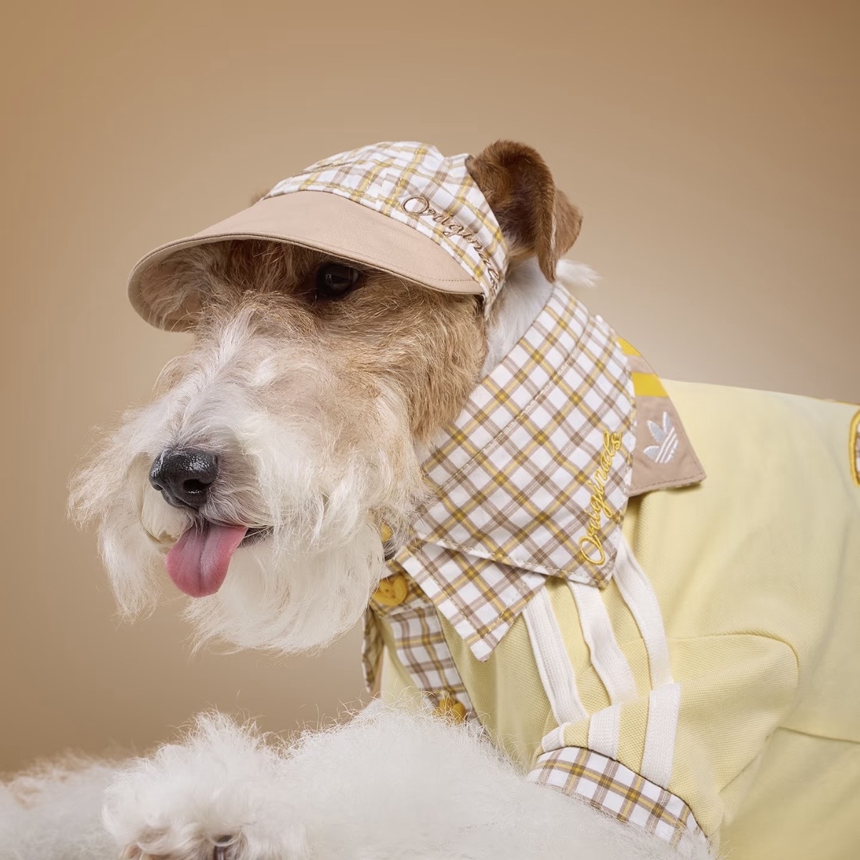 ADIDAS ORIGINALS 黃色 奶茶色 格紋 領巾 三角巾 狗狗 貓貓 寵物衣服 / 預購