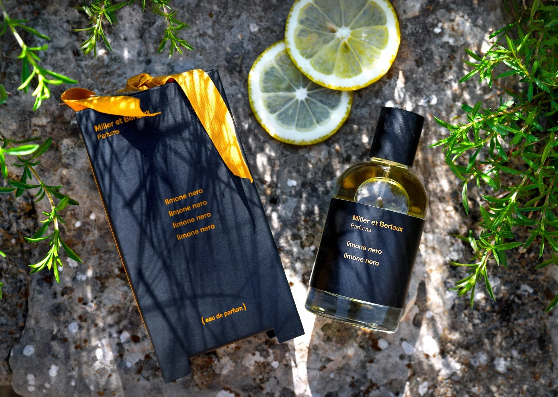 Miller et Bertaux LIMONE NERO 炎夏黑檸