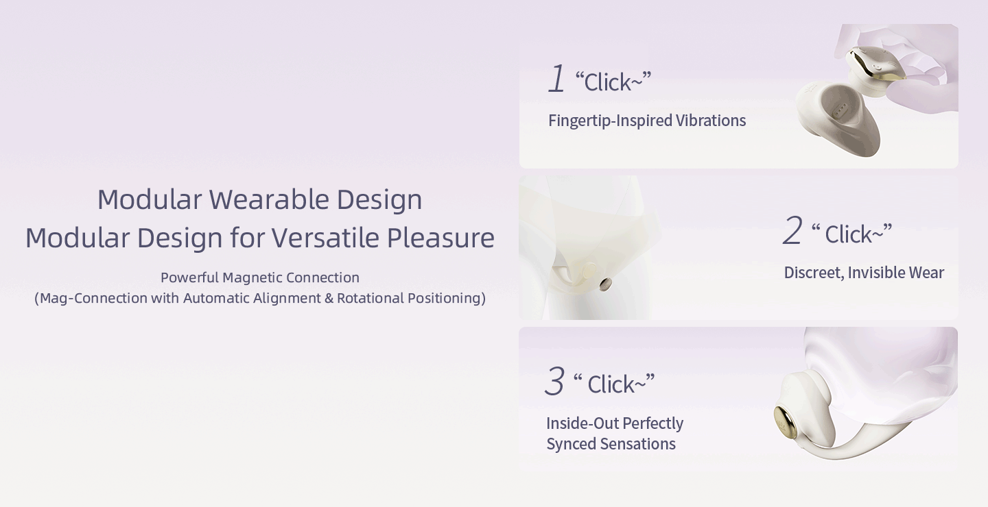 magnetic interchangeable suction accessory